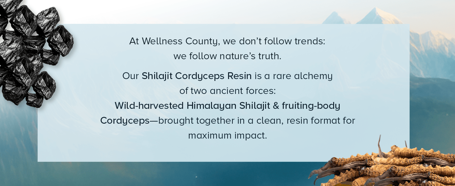 Himalayan Shilajit Resin with Cordyceps – Power Meets Endurance