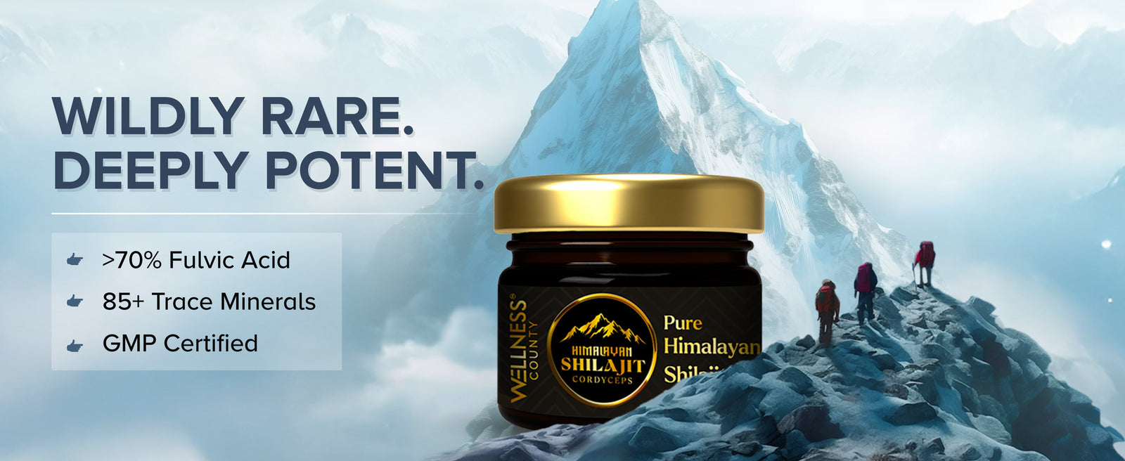 Himalayan Shilajit Resin with Cordyceps – Power Meets Endurance