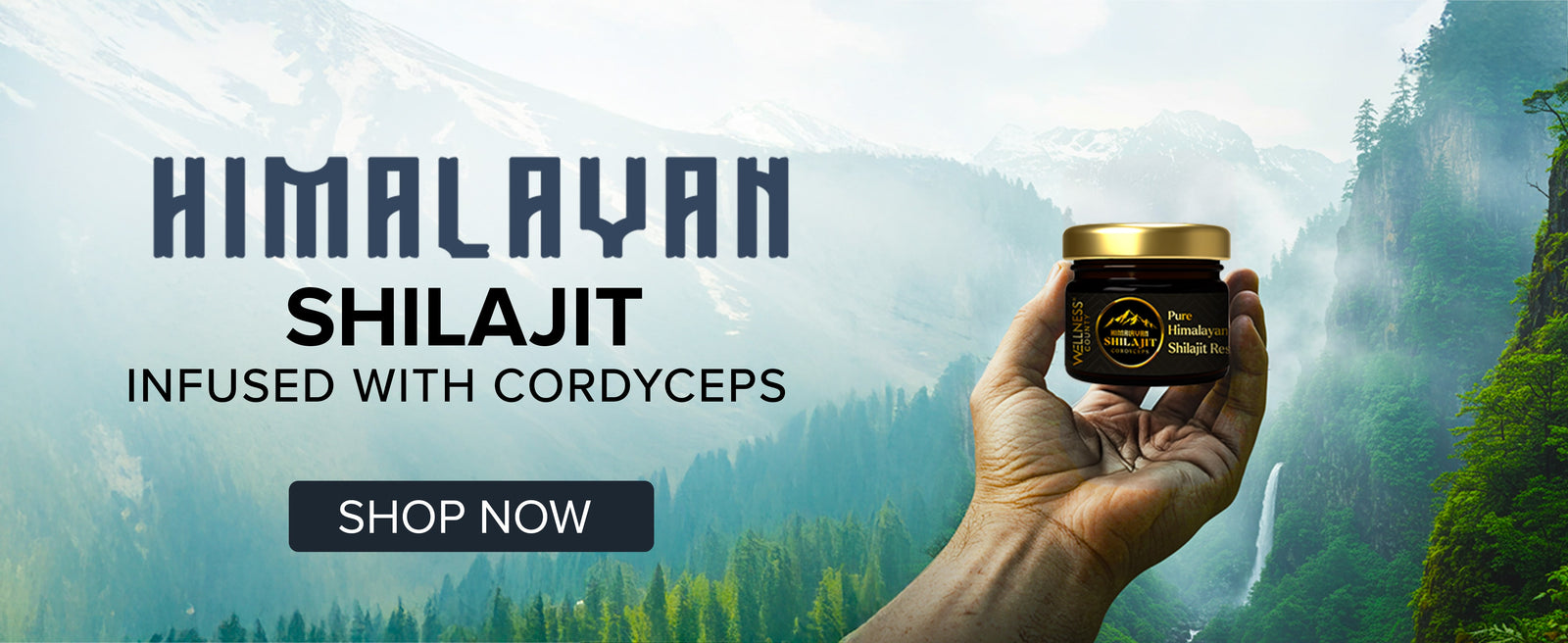 Himalayan Shilajit Resin with Cordyceps – Power Meets Endurance