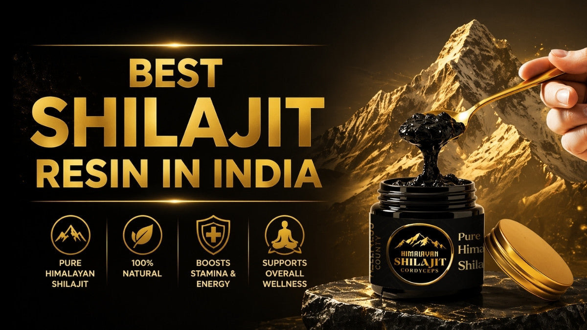 Best Shilajit Resin in India (2026 Guide): Choose the Right One ...