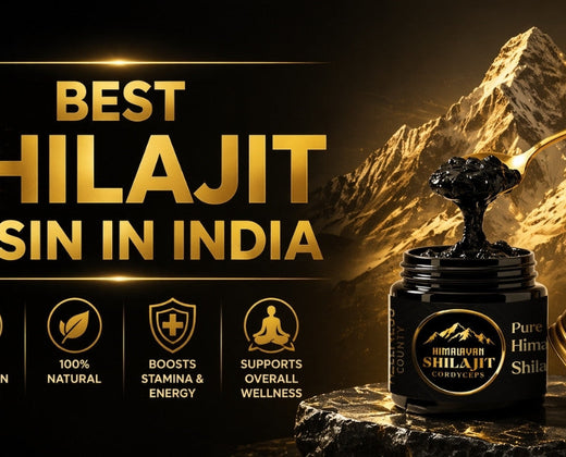 Best Shilajit Resin in India: How to Choose the Right One (2026 Guide)