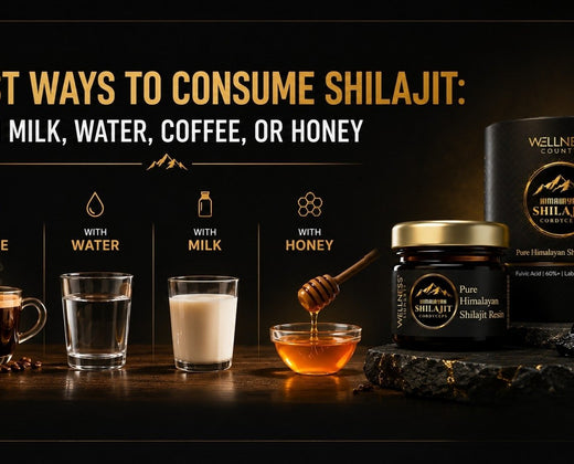 Best Ways to Consume Shilajit: With Milk, Water, Coffee, or Honey