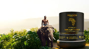10 Proven Benefits of African Shilajit Backed by Science