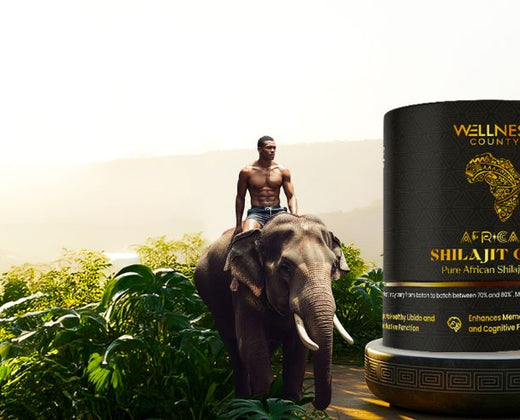 10 Proven Benefits of African Shilajit Backed by Science
