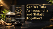 Can We Take Ashwagandha and Shilajit Together