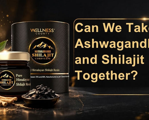 Can We Take Ashwagandha and Shilajit Together?