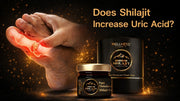 Does shilajit increase uric acid?
