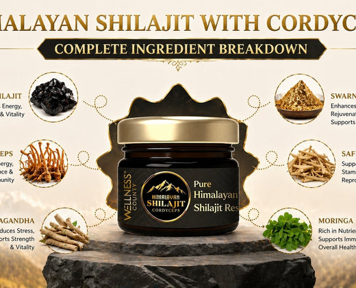 Himalayan Shilajit with Cordyceps: Complete Ingredient Breakdown