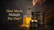 How much shilajit per day