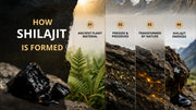 How Shilajit is Formed