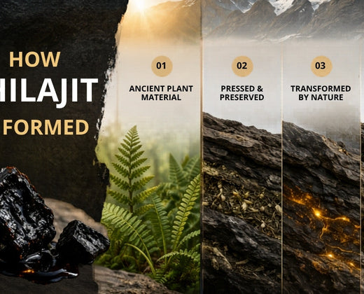 How Shilajit Is Formed