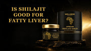 Is shilajit good for fatty liver
