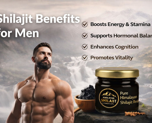 Shilajit Benefits for Men: Energy, Testosterone & Daily Use