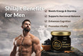 Shilajit Benefits for Men Explained: From Testosterone Support to Long-Term Vitality
