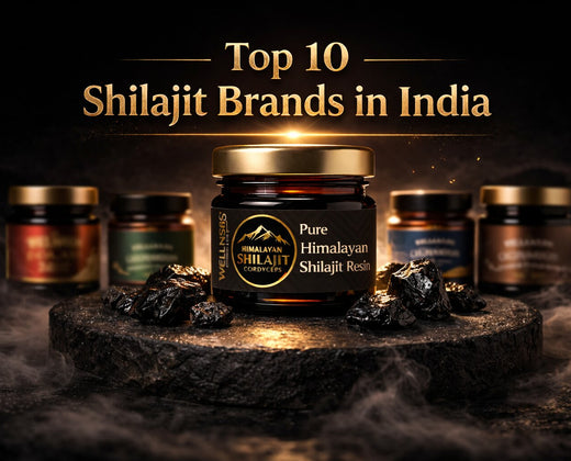 Top 10 Shilajit Brands in India