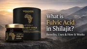 What is Fulvic Acid in Shilajit? Benefits, Uses & How It Works