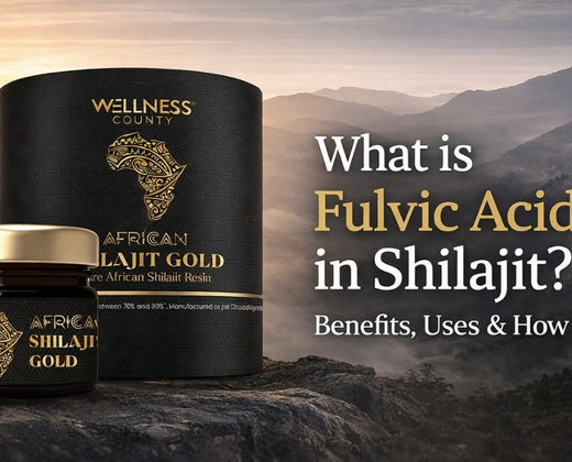 What is Fulvic Acid in Shilajit? Benefits, Uses & How It Works