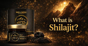 Banner showing Himalayan Shilajit resin and jar with the title “What is Shilajit?