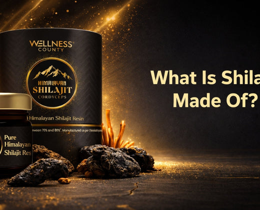 What Is Shilajit Made Of? Understanding Its Bioactive Compounds & Minerals