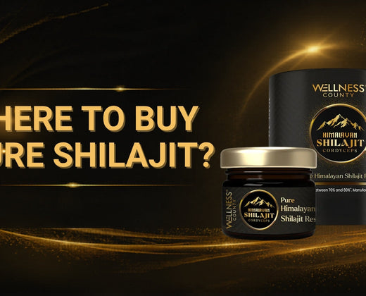 Where to Buy Pure Shilajit?