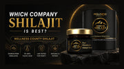 Which company shilajit is best