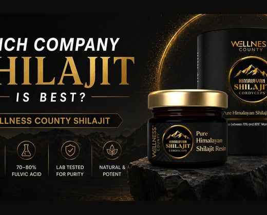 Which Company Shilajit Is Best?
