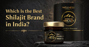 Which is the best shilajit brand in india
