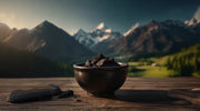 What Is Shilajit? A Complete Guide to Nature’s Potent Resin