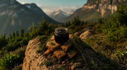 How to Identify Original Shilajit: 10 Proven Ways to Spot Pure Shilajit and Avoid Counterfeits