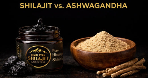Shilajit vs Ashwagandha: Which Is Better for Energy, Stress, Testosterone & Overall Wellness?