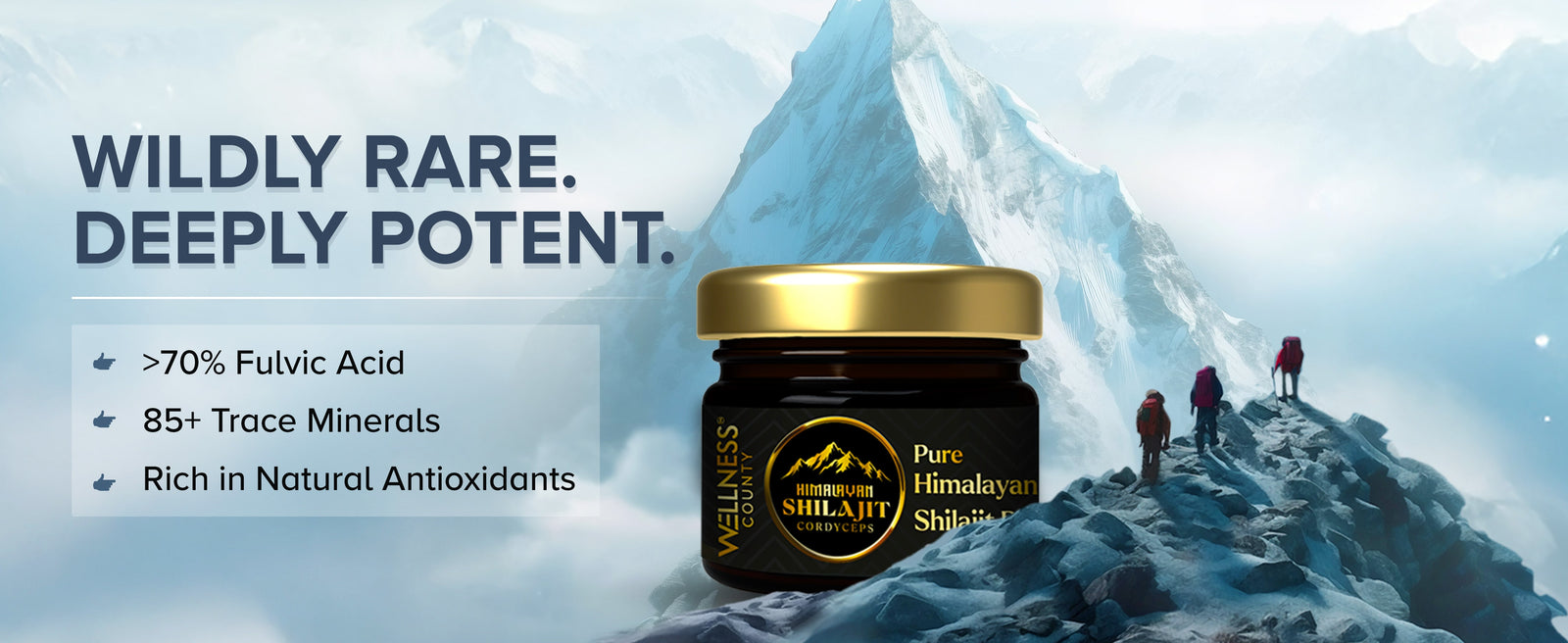 Himalayan Shilajit Resin with Cordyceps – Power Meets Endurance