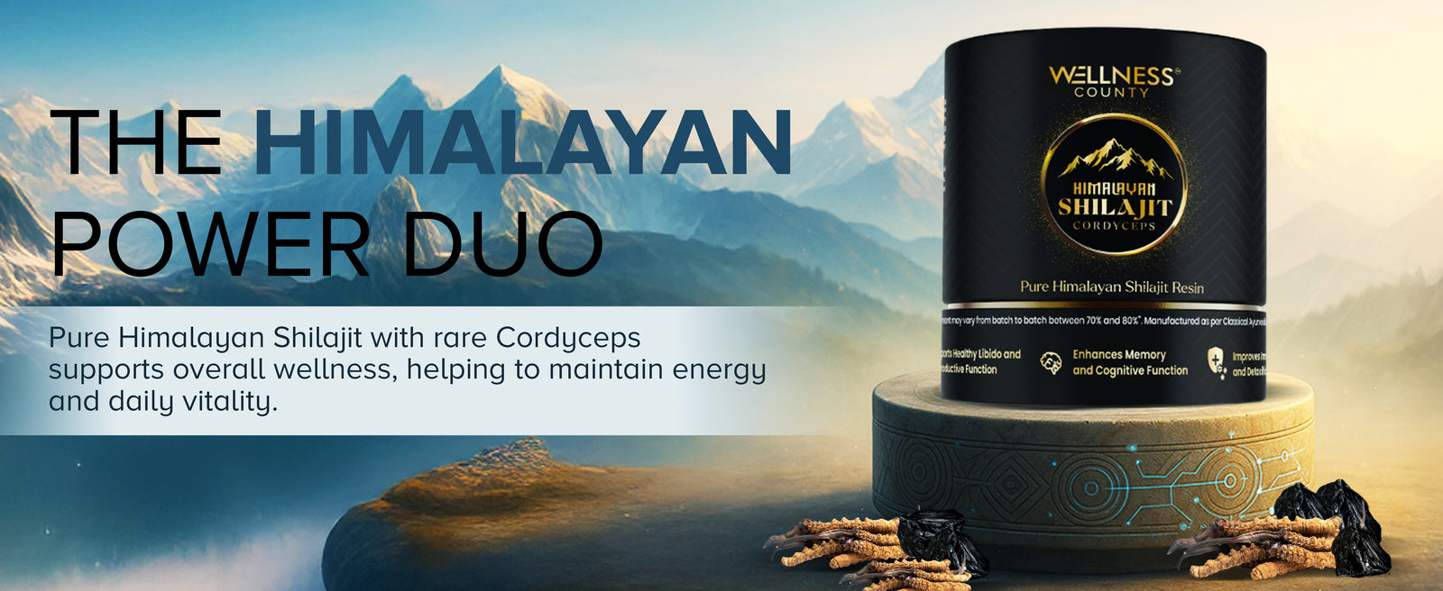 Himalayan Shilajit Resin with Cordyceps – Power Meets Endurance