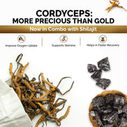 Himalayan Shilajit Resin with Cordyceps