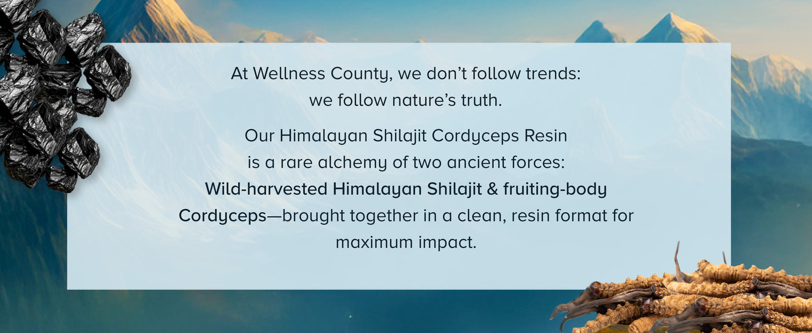 Himalayan Shilajit Resin with Cordyceps – Power Meets Endurance