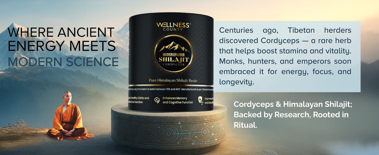 Himalayan Shilajit Resin with Cordyceps – Power Meets Endurance