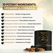 Himalayan Shilajit Resin with Cordyceps