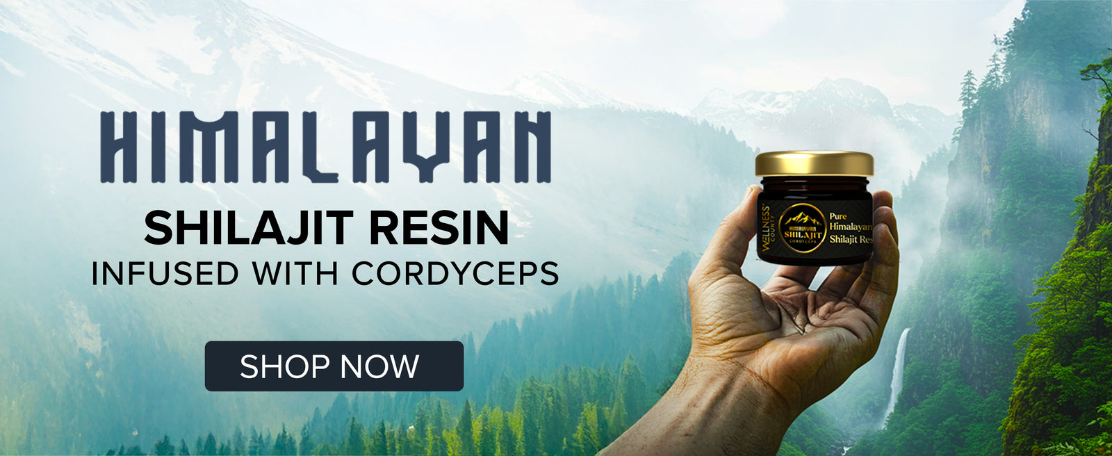 Himalayan Shilajit Resin with Cordyceps – Power Meets Endurance