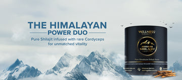 Wellness Lifestyle Shilajit product with Himalayan mountains in the background